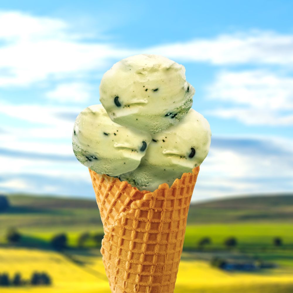 ice cream mint choc
