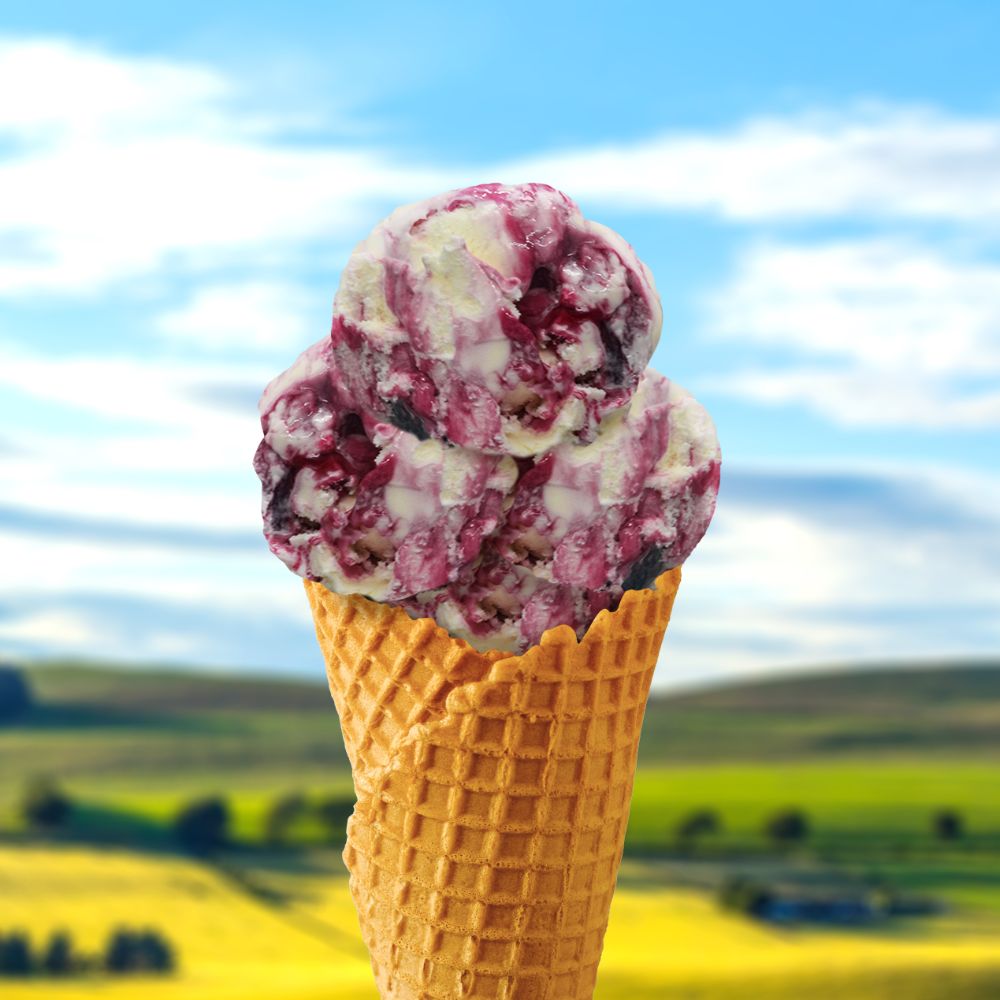 ice cream raspberry swirl