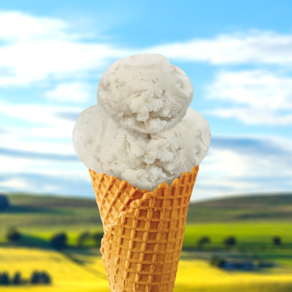 ice cream vegan vanilla